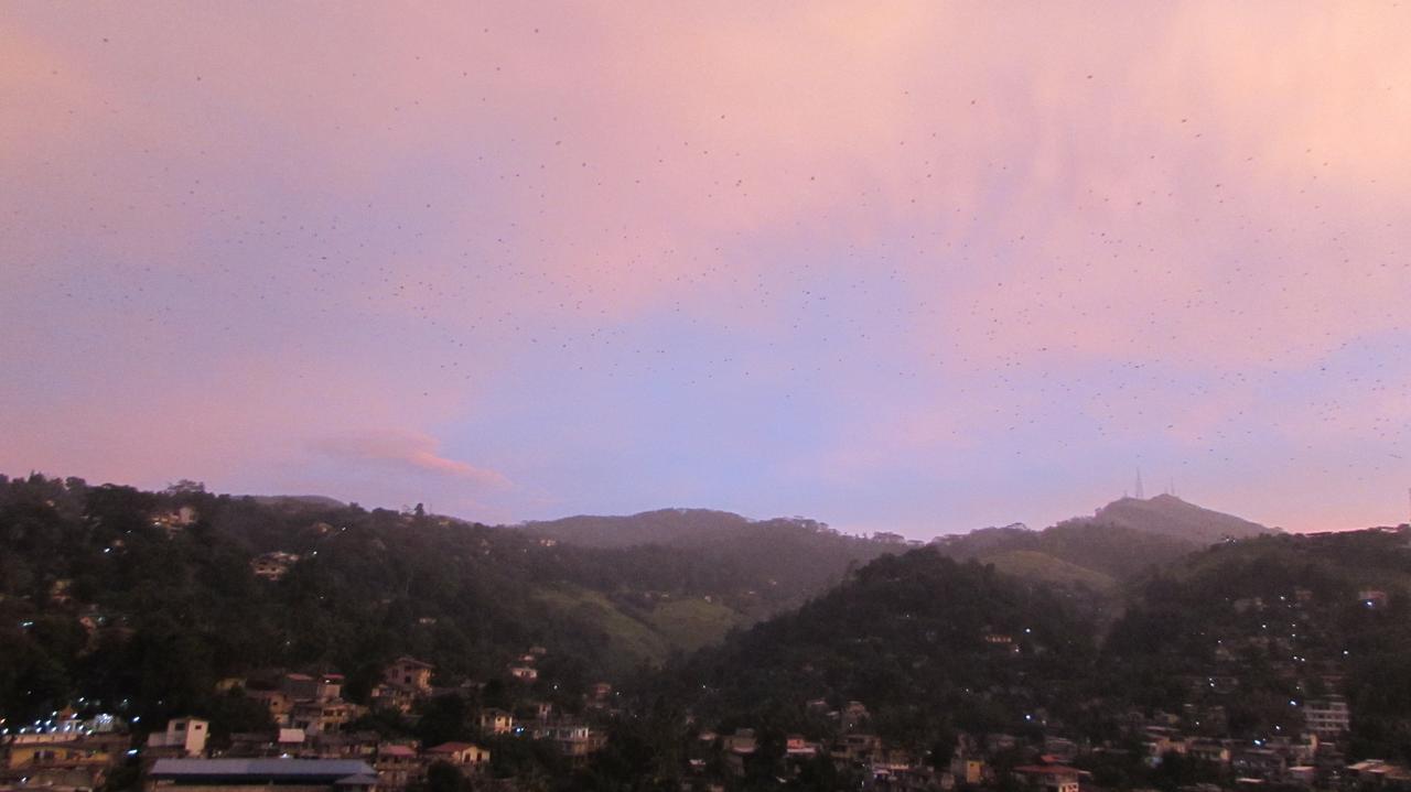 Bunk Planet Hotel Kandy Kültér fotó
